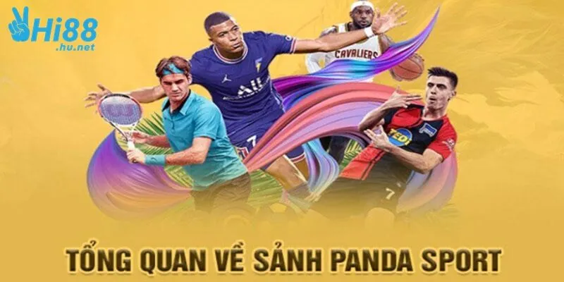 Tổng quan về sảnh game Thể Thao PANDA Sports Hi88 